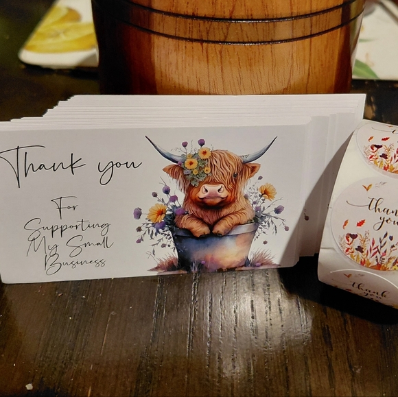 NWT - 550ct. 50ct. Thank You Cards 500ct. Stickers/Bonus Random 3 Polymailers - Picture 5 of 5